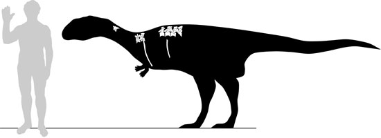 Discover new dinosaurs images 1