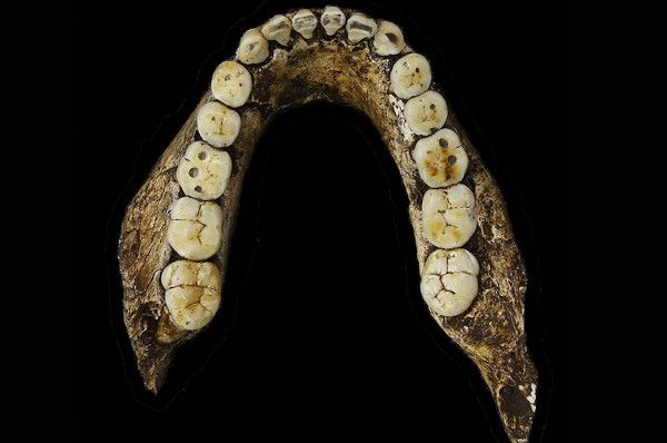 Picture 10 of Discover new human relatives in South Africa