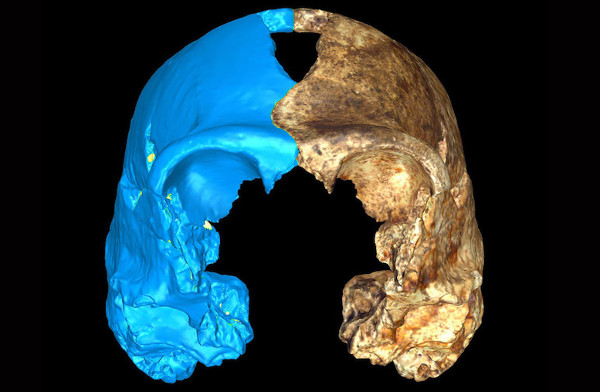 Picture 12 of Discover new human relatives in South Africa