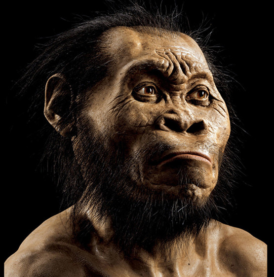 Picture 2 of Discover new human relatives in South Africa