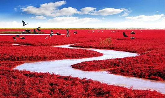 Picture 6 of Discover places with fantasy beauty