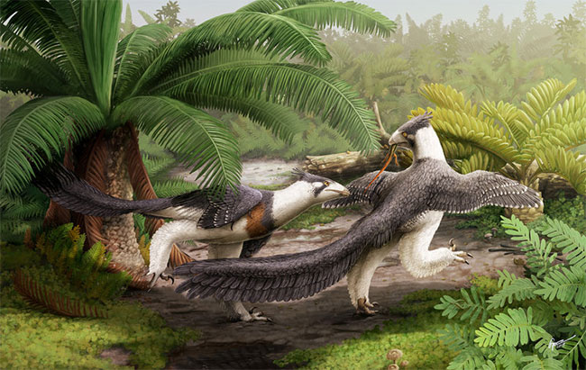 Picture 1 of Discover strange dinosaurs, like magical creatures