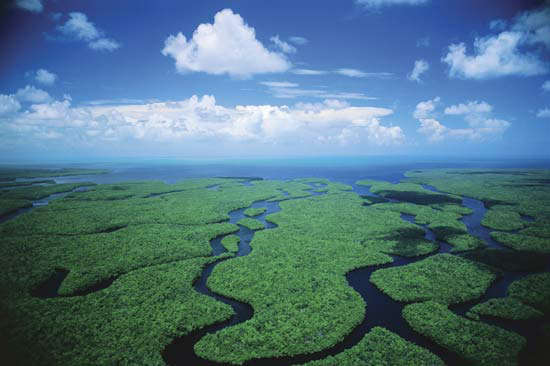 Picture 5 of Discover the 10 most beautiful national parks in America