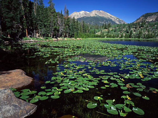 Picture 7 of Discover the 10 most beautiful national parks in America
