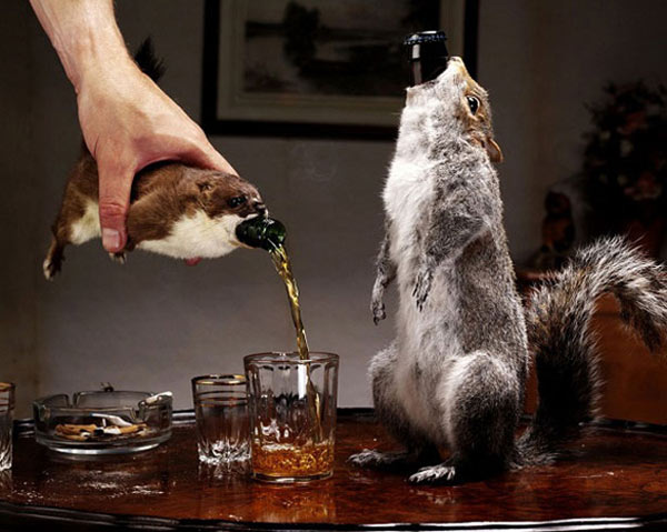 Picture 14 of Discover the 16 most quirky drinks in the world