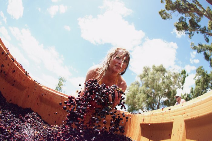 Picture 10 of Discover the 4 most 'sweet' festivals in the world