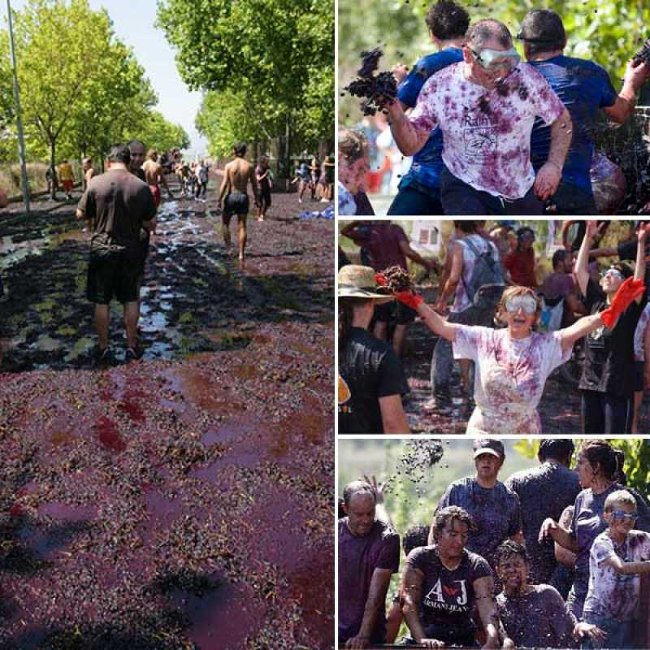 Picture 12 of Discover the 4 most 'sweet' festivals in the world