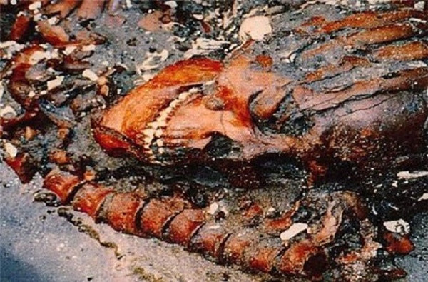 Picture 4 of Discover the 5 most frightening, creepy cemeteries in the world