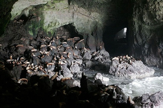 Picture 7 of Discover the 7 most spectacular sea caves in the world