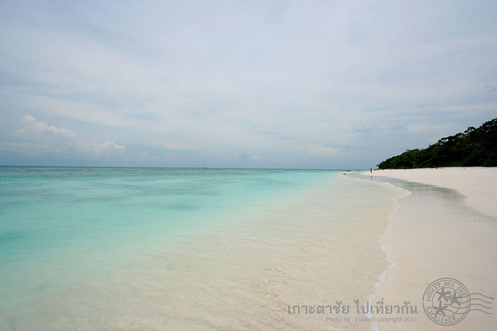 Picture 10 of Discover the beauty of paradise island about to be closed in Thailand