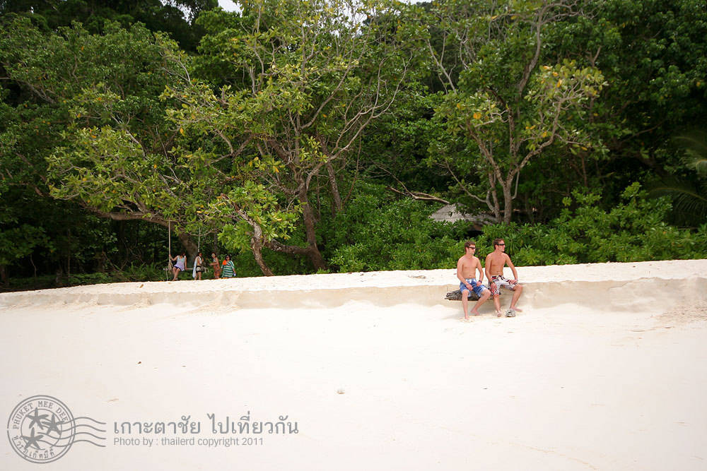 Picture 12 of Discover the beauty of paradise island about to be closed in Thailand