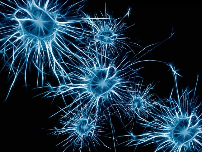 Picture 1 of Discover the cause of schizophrenia and autism