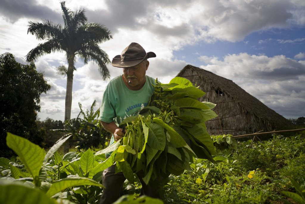 Picture 7 of Discover the daily life of Cuban people