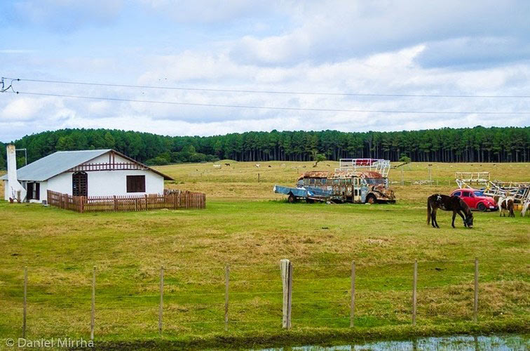 Picture 7 of Discover the exotic village of primitive life in Uruguay