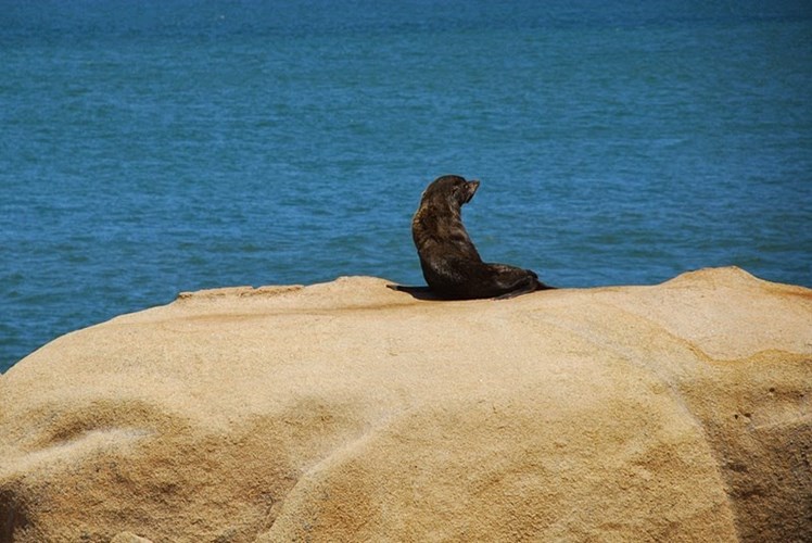 Picture 9 of Discover the exotic village of primitive life in Uruguay