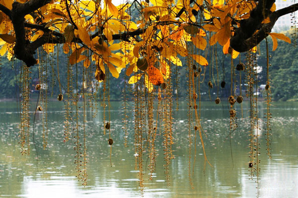 Picture 4 of Discover the fall