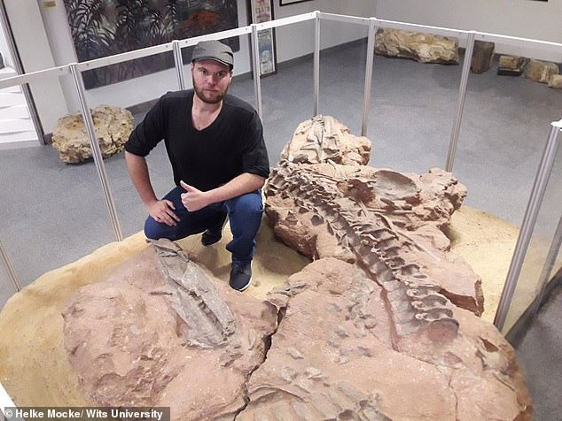 Picture 1 of Discover the giant 10-meter-long crocodile vestiges specialized in hunting dinosaurs