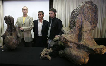 Picture 1 of Discover the healthiest giant dinosaur skeleton