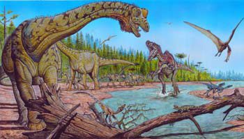 Picture 2 of Discover the healthiest giant dinosaur skeleton