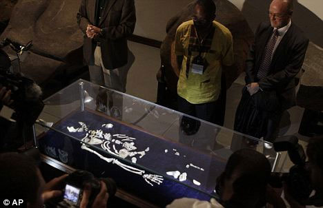 Picture 2 of Discover the human ancestors skull 2 ​​million years ago