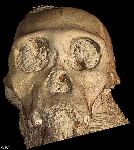 Picture 4 of Discover the human ancestors skull 2 ​​million years ago