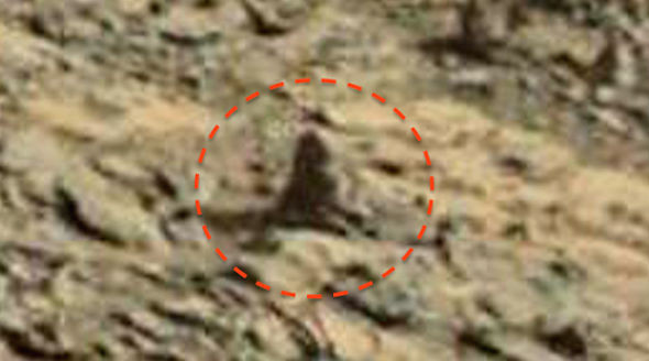 Picture 1 of Discover the image of a monkey sitting on Mars?