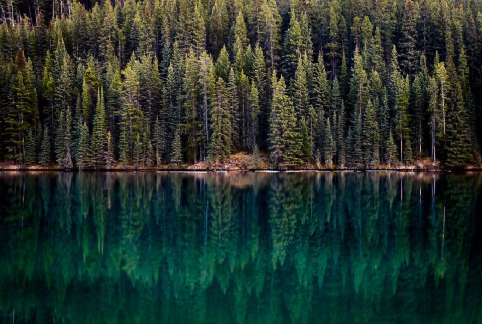 Picture 5 of Discover the majestic nature of a peaceful Canadian country