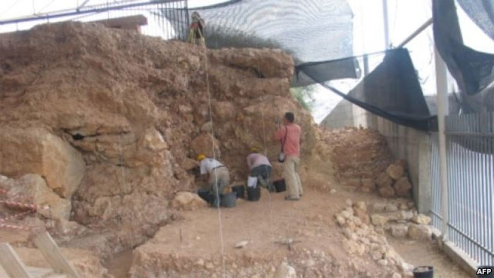 Picture 1 of Discover the menu of prehistoric people in Israel