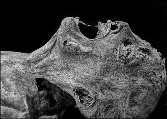 Picture 6 of Discover the most mysterious mummies in the world