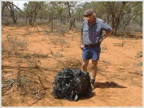 Picture 1 of Discover the mysterious 'object'