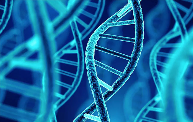 Picture 1 of Discover the oldest DNA man in North America
