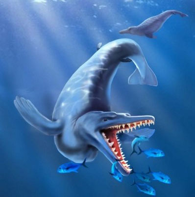 Picture 1 of Discover the oldest whale fossil ever