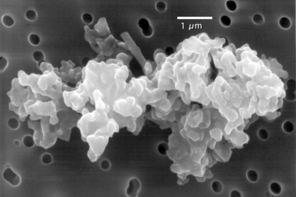 Picture 1 of Discover the origin of cosmic dust on Earth