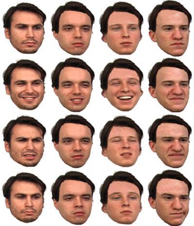 Picture 1 of Discover the part that helps identify the face of the brain