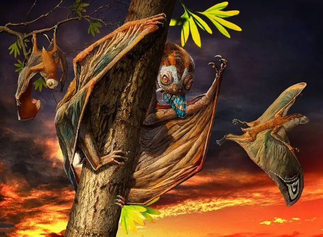 Picture 1 of Discover the peculiar flying lizard hanging upside down on a tree like a bat in China