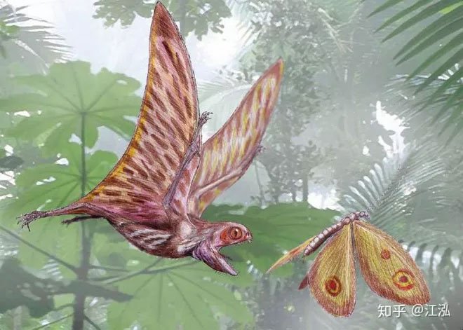 Picture 10 of Discover the peculiar flying lizard hanging upside down on a tree like a bat in China
