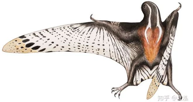 Picture 6 of Discover the peculiar flying lizard hanging upside down on a tree like a bat in China