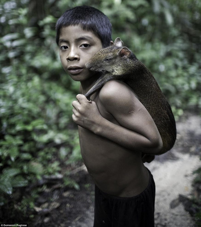 Picture 2 of Discover the tribe raising animals with human milk