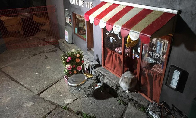 Picture 11 of Discover the unique, tiny bakery for mice in Sweden