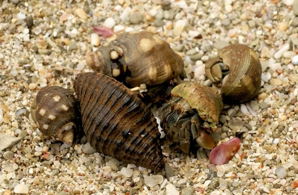 Picture 1 of Discover the unusual