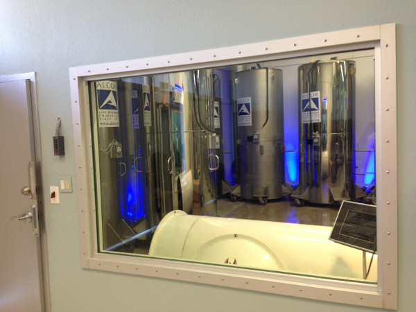 Picture 4 of Discover the world's largest frozen, deadly resurrection facility