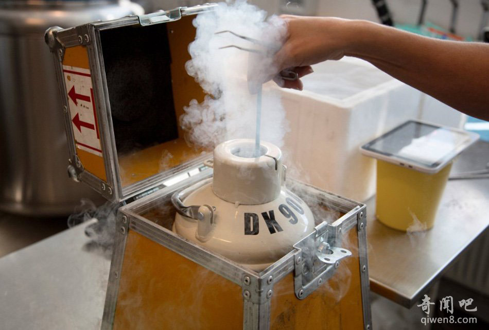 Picture 3 of Discover the world's largest sperm bank