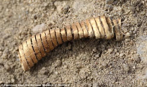 Picture 2 of Discover thousands of 3,000-year-old gold rolls in Denmark