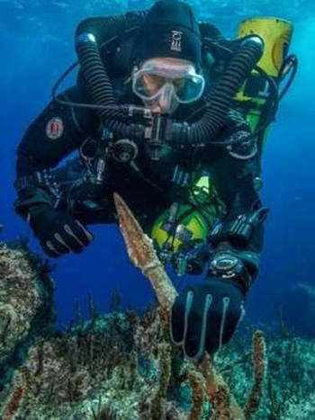 Picture 1 of Discover treasures 2,000 years in 'ancient Titanic ship'