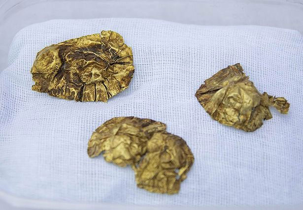 Picture 3 of Discover treasures invaluable 2,800 years old on mountains in Kazakhstan