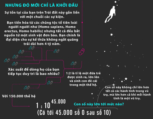 Picture 4 of Discover unexpected numbers about your own appearance