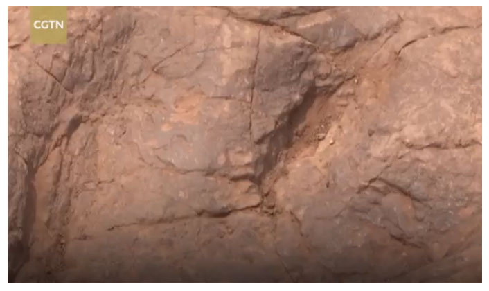 Picture 1 of Discovered 300 dinosaur footprints in China