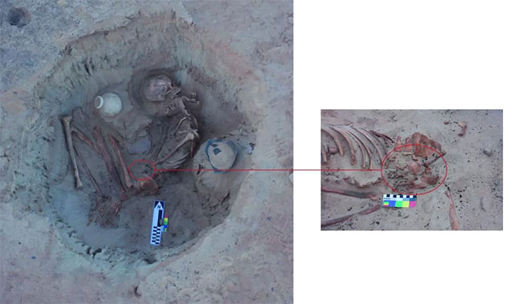 Picture 1 of Discovered 3,700 year old remains of women about to give birth in Egypt