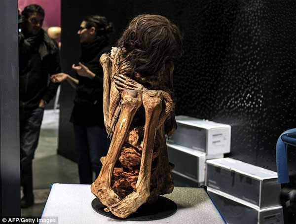 Picture 1 of Discovered a 1,000-year-old Peruvian mummy in a sitting position