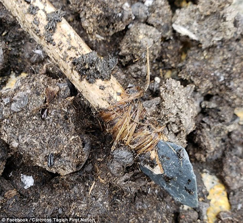 Picture 1 of Discovered a 1,000-year-old spear preserved in melting ice